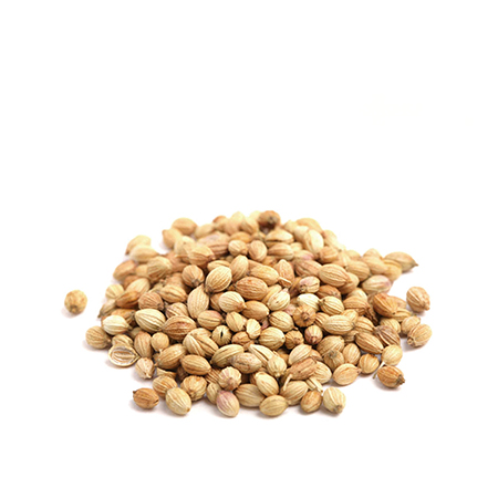 CILANTRO GRANO